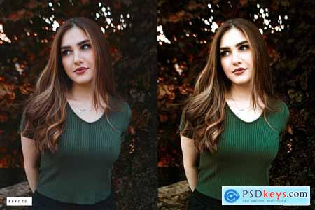 10 Earthy Premium Lightroom Presets