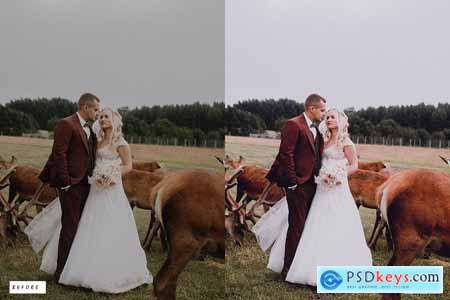 10 Vintage Wedding Lightroom Presets