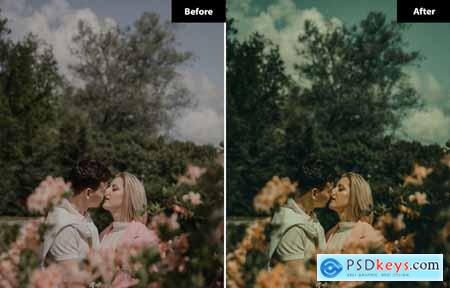 6 Farms gradient Lightroom and Photoshop Presets
