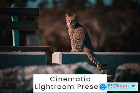 Cinematic Lightroom Presets