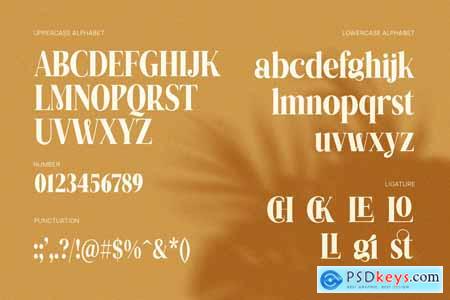 Mistar Elegant Serif Font Typeface