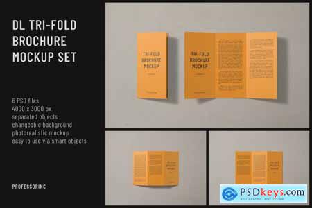 DL Tri-Fold Brochure Mockup Set