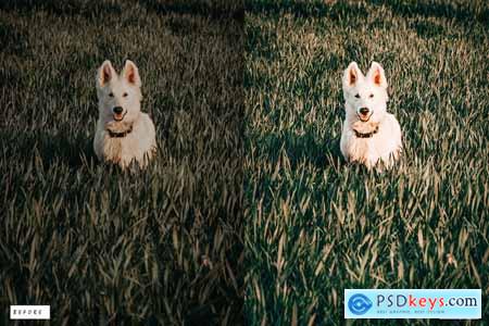 12 Dog Lovers Lightroom Presets