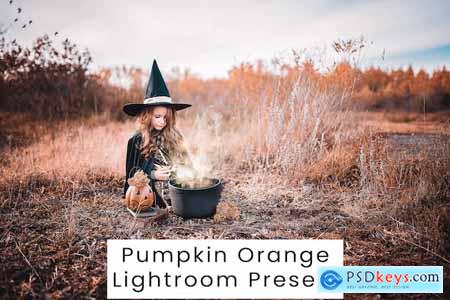 Pumpkin Orange Lightroom Presets