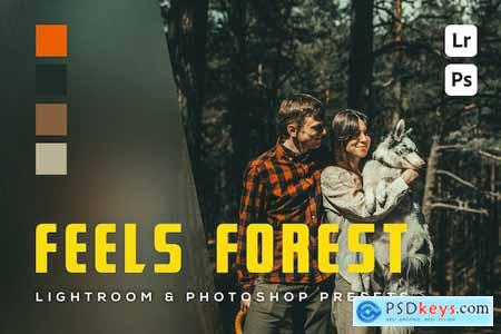 6 Feels forest Lightroom and Photoshop Presets