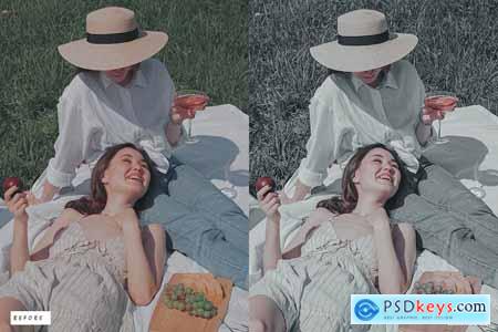 12 Dim Gray Premium Lightroom Presets