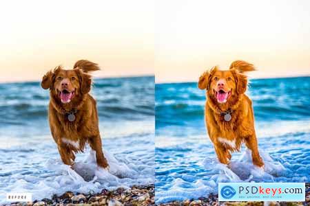 12 Dog Lovers Lightroom Presets