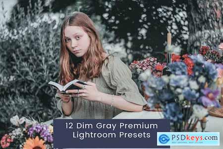 12 Dim Gray Premium Lightroom Presets