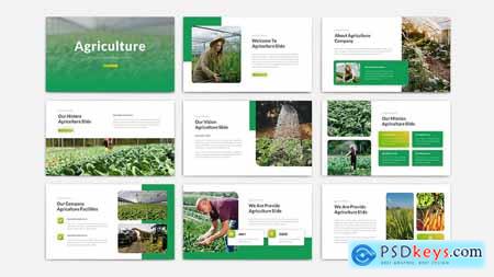 Agriculture Powerpoint Template