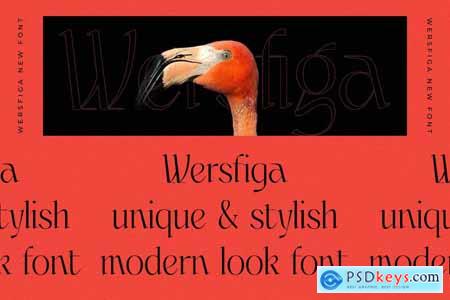 Wersfiga Modern Display Serif