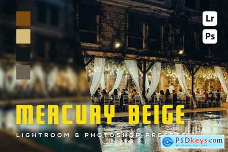 6 Mercury Beige Lightroom and Photoshop Presets