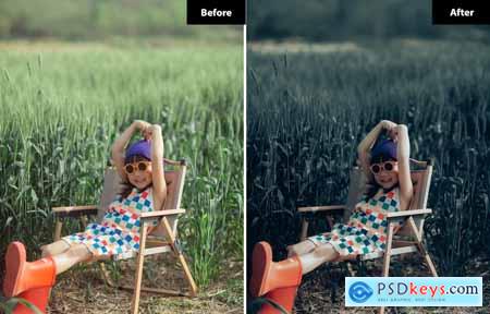 6 Platonic Blueart Lightroom and Photoshop Presets