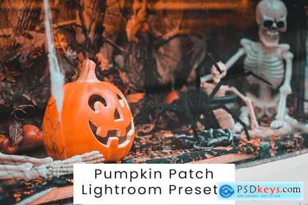 Pumpkin Patch Lightroom Presets