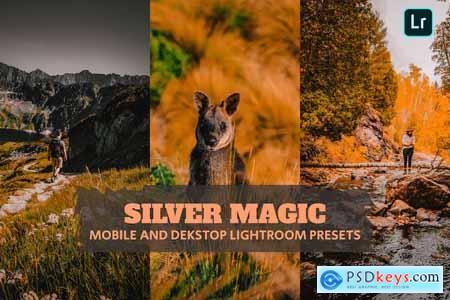 Silver Magic Lightroom Presets Dekstop and Mobile
