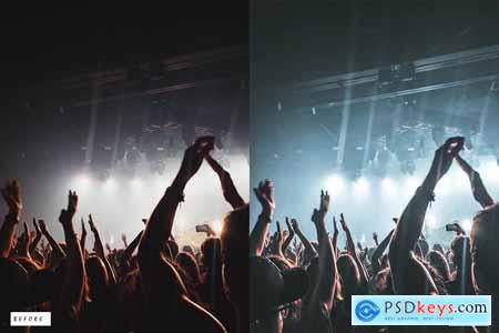 12 Concert Premium Lightroom Presets