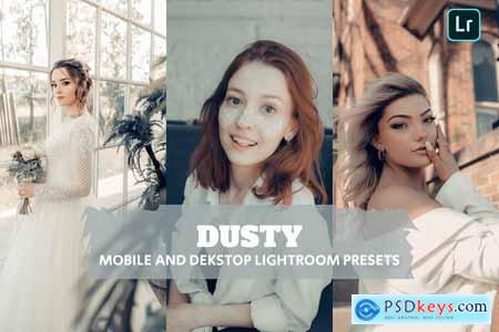 Dusty Lightroom Presets Dekstop and Mobile
