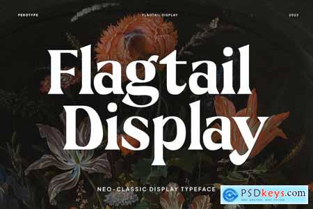 Flagtal Display