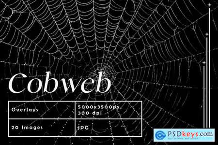 Spider Cobweb Overlays