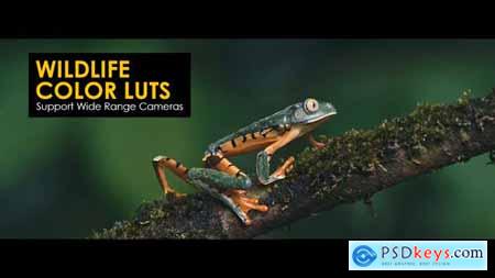 Wildlife Color LUTs 48224188