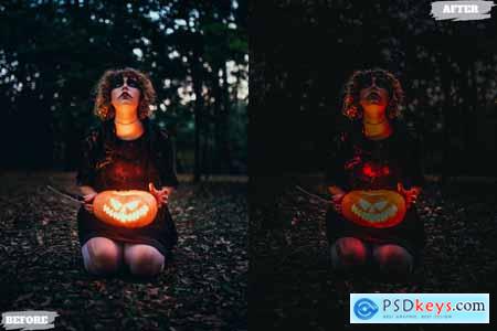 Halloween Lightroom Presets Dekstop and Mobile