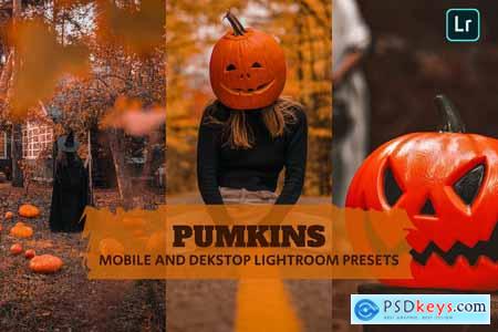 Pumpkins Lightroom Presets Dekstop and Mobile