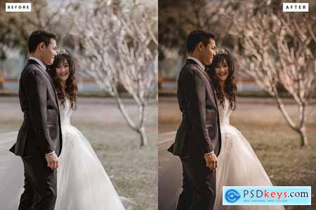 Rustic Wedding Lightroom Presets