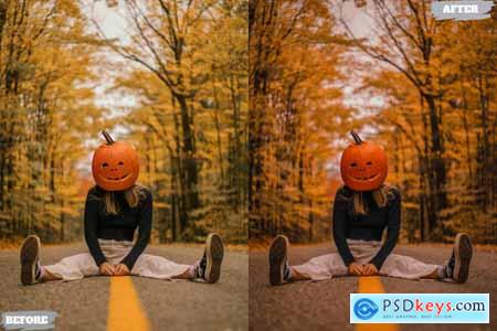 Pumpkins Lightroom Presets Dekstop and Mobile