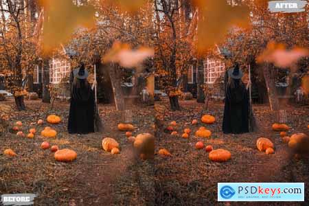 Pumpkins Lightroom Presets Dekstop and Mobile