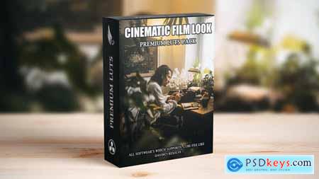 Hollywood Cinematic Film Look Inspired LUTs for Color Grading 48413727