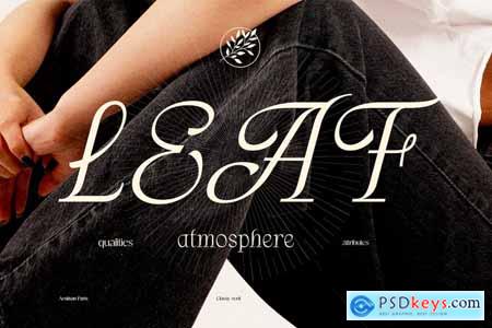 Artisan Paris Display Font