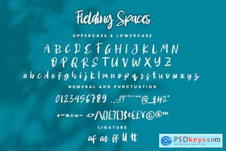 Fielding Spaces- Handwritten Script fonts