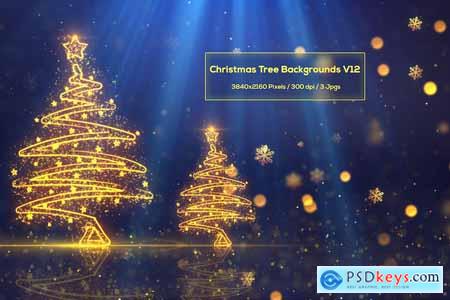 Christmas Trees Backgrounds V12
