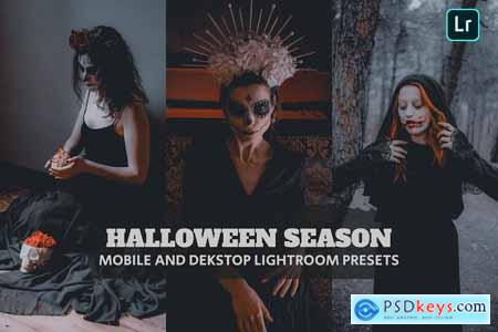 Halloween Season Lightroom Presets Dekstop Mobile