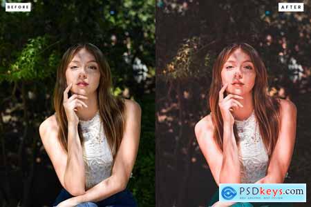 Cine Look Lightroom Presets