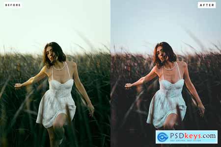 Hollywood Lightroom Presets