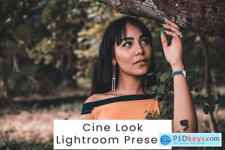 Cine Look Lightroom Presets