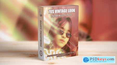 Retro and Vintage Vintage LUTs Pack 48048243