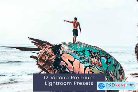 12 Vienna Premium Lightroom Presets