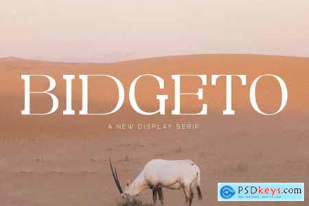 Bidgeto A New Display Serif Font