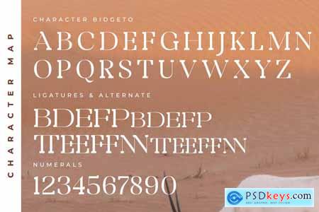 Bidgeto A New Display Serif Font