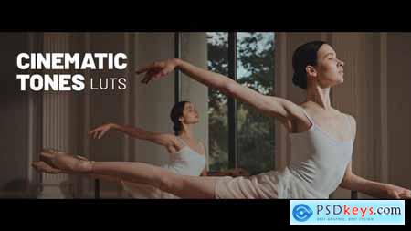 Cinematic Tones Color LUTs 48513069