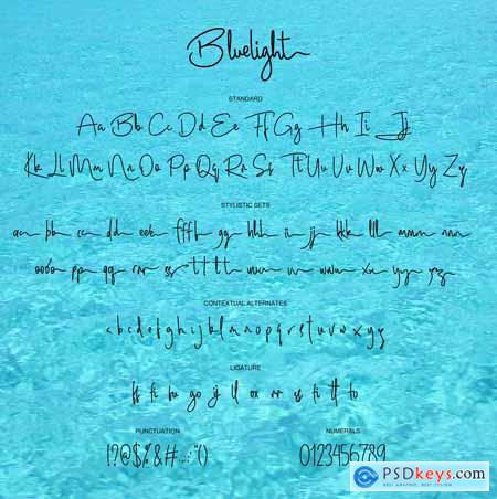 Bluelight - Signature Script