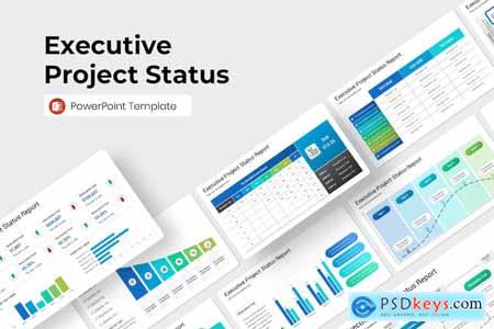 Executive Project Status PowerPoint Template