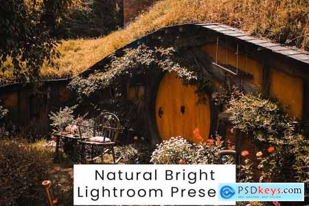 Natural Bright Lightroom Presets