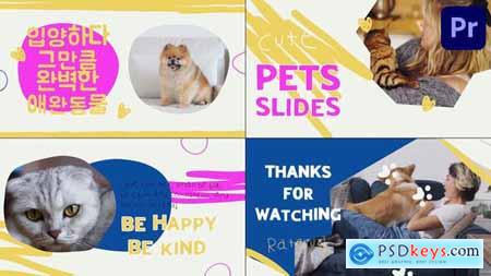 Pets Slides Premiere Pro MOGRT 48337658 