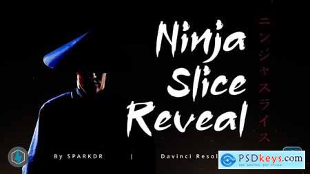 Ninja Slice Reveal Effect Davinci Resolve Macro 48632269