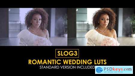 Slog3 Romantic Wedding and Standard Color LUTs 48800332