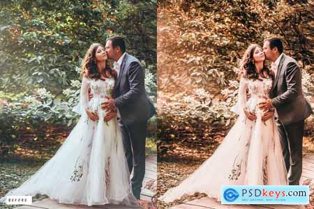 13 Wedding Gold Lightroom Presets