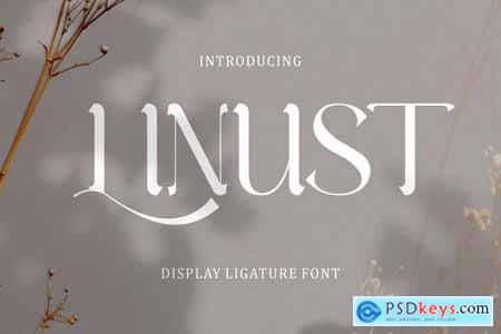 Linust - Display Modern Font