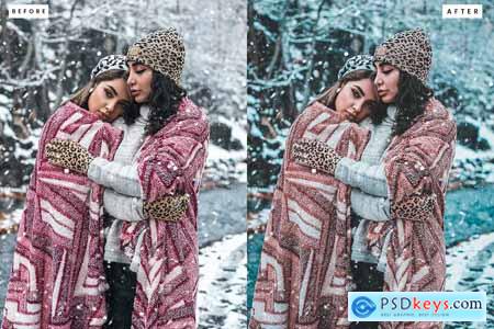 Winter Christmas Lightroom Presets